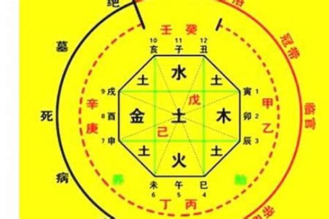 八字喜忌查詢|生辰八字喜用神在线查询